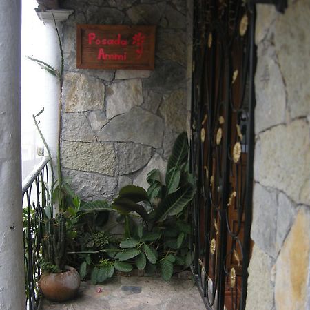 Posada Ammi Cuetzalán Bagian luar foto
