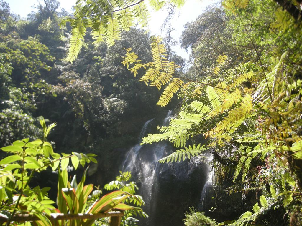 Posada Ammi Cuetzalán Bagian luar foto