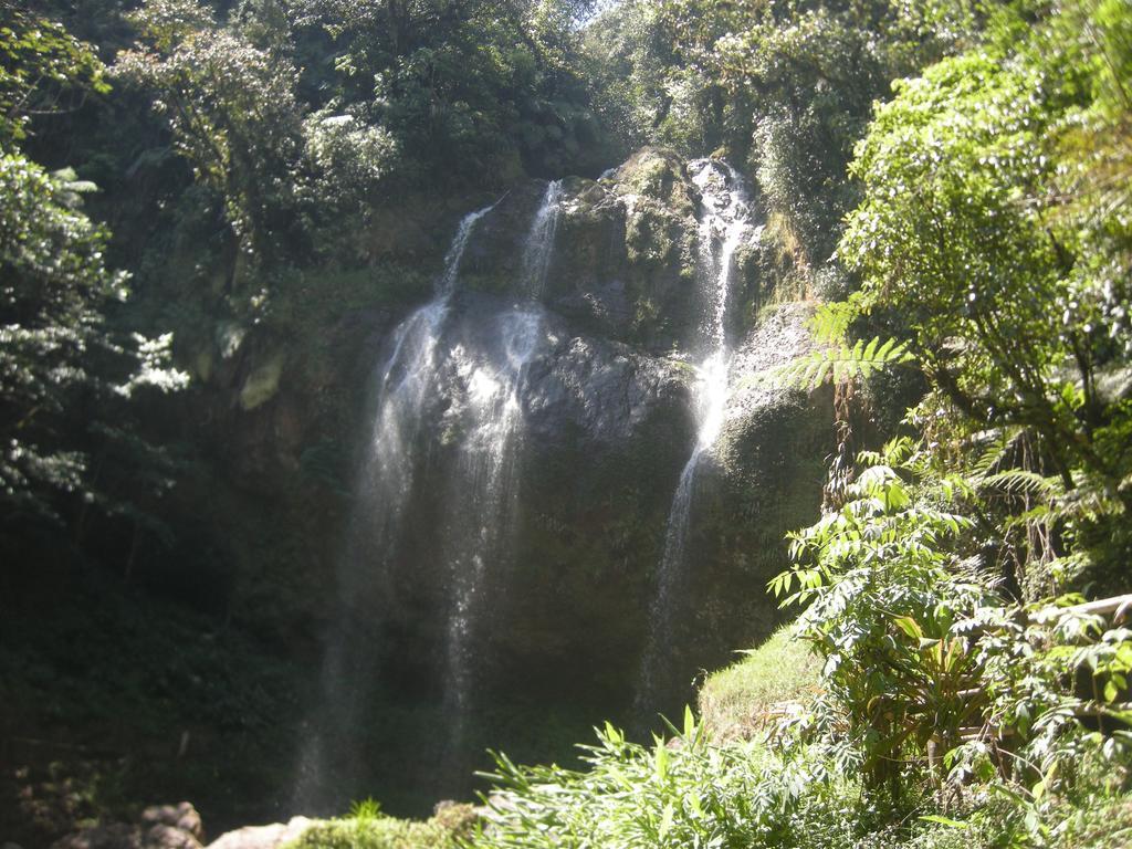 Posada Ammi Cuetzalán Bagian luar foto